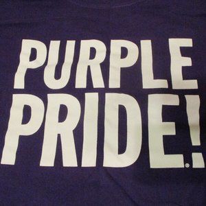 Northwestern University 14 Wildcat Welcome Millennium Park Purple Pride 2X Shirt
